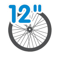 12 ДЮЙМОВ