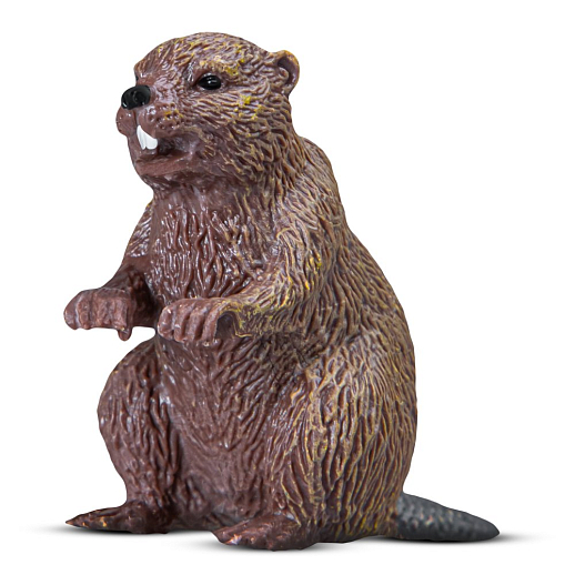 ТМ "DARWIN, Коллекционная фигурка "Бобер" в/п в Джамбо Тойз #3