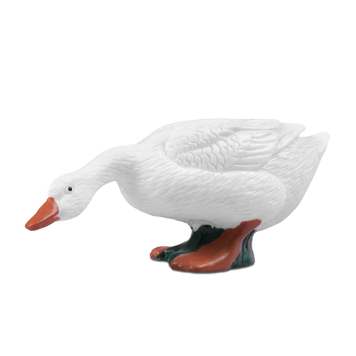 ТМ "DARWIN, Набор "Домашние птицы" 8 шт в/п в Джамбо Тойз #15