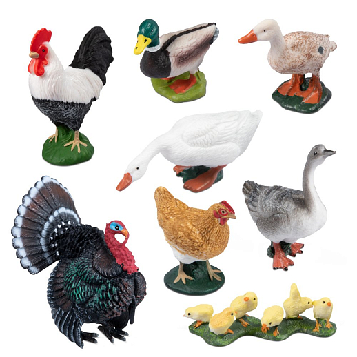 ТМ "DARWIN, Набор "Домашние птицы" 8 шт в/п в Джамбо Тойз