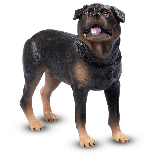 ТМ "DARWIN, Коллекционная фигурка собака "Ротвейлер" в/п в Джамбо Тойз #2