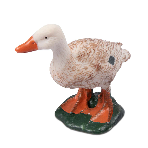 ТМ "DARWIN, Набор "Домашние птицы" 8 шт в/п в Джамбо Тойз #6