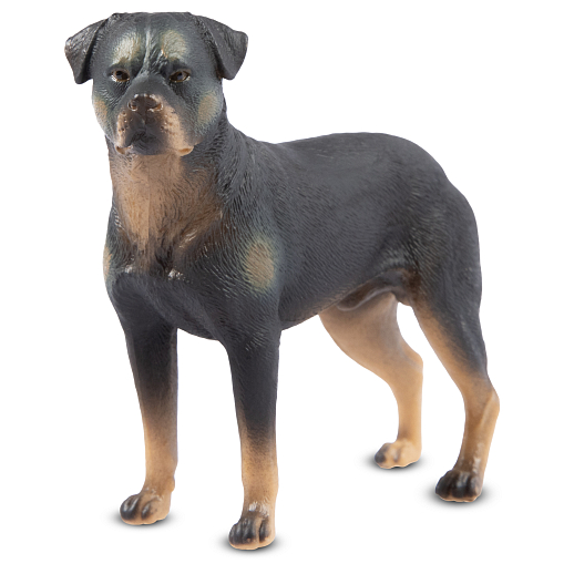 ТМ "DARWIN, Коллекционная фигурка собака "Ротвейлер" в/п в Джамбо Тойз #2