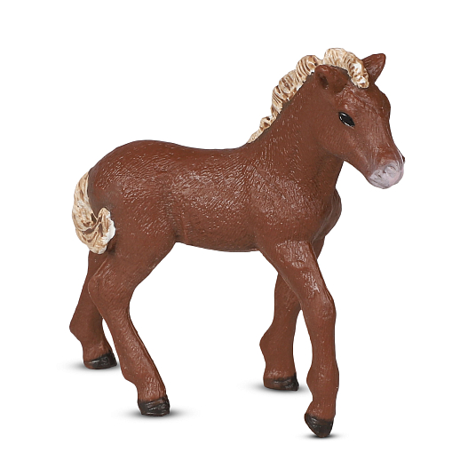 ТМ "DARWIN, Коллекционная фигурка "Жеребенок Исландский" в/п,7*2,4*7 см в Джамбо Тойз