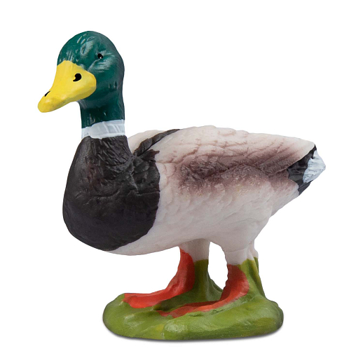 ТМ "DARWIN, Набор "Домашние птицы" 8 шт в/п в Джамбо Тойз #9