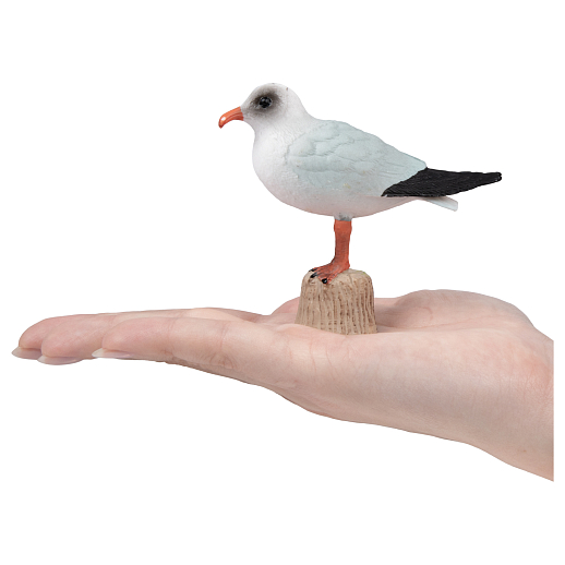 ТМ "DARWIN, Коллекционная фигурка "Красноклювый фаэтон", в/п 7,6*2,4*7,5 см в Джамбо Тойз #3