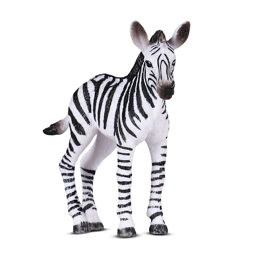 ТМ "DARWIN, Коллекционная фигурка  "Зебра,жеребёнок", в/п 8,3*2*7 см в Джамбо Тойз