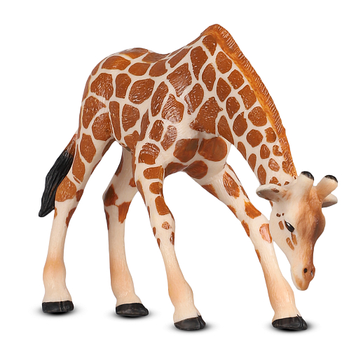 ТМ "DARWIN, Коллекционная фигурка  "Жираф", в/п 13,5*5,5*9 см в Джамбо Тойз #2