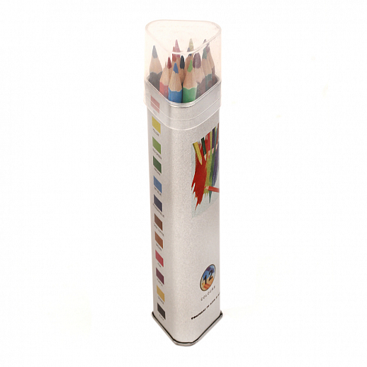 Набор цветных карандашей 8мм, 12 шт в тубе в Джамбо Тойз