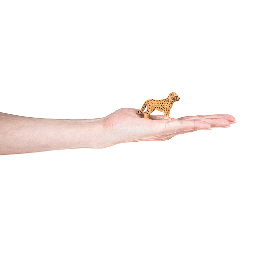 ТМ "DARWIN, Коллекционная фигурка  "Детёныш гепарда", в/п в Джамбо Тойз #4
