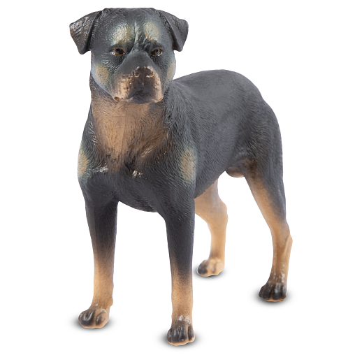 ТМ "DARWIN, Коллекционная фигурка собака "Ротвейлер" в/п в Джамбо Тойз #3