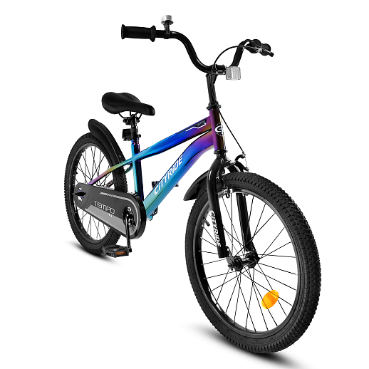 Велосипед двухколесный CITYRIDE, модель CR-B2-07J, колеса 20", рама сталь, обода сталь, цвет анодровка-чёрный в Джамбо Тойз