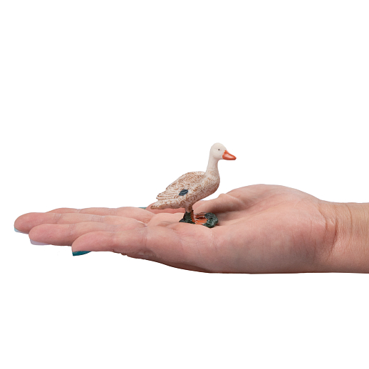 ТМ "DARWIN, Набор "Домашние птицы" 8 шт в/п в Джамбо Тойз #18