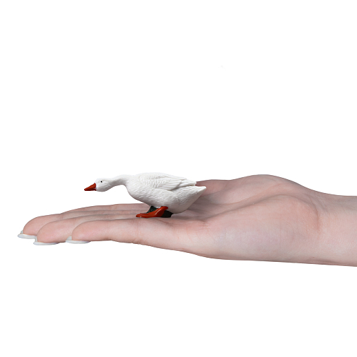 ТМ "DARWIN, Набор "Домашние птицы" 8 шт в/п в Джамбо Тойз #19