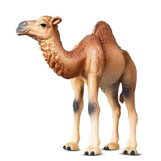 ТМ "DARWIN, Коллекционная фигурка "Одногорбый верблюд" в/п в Джамбо Тойз