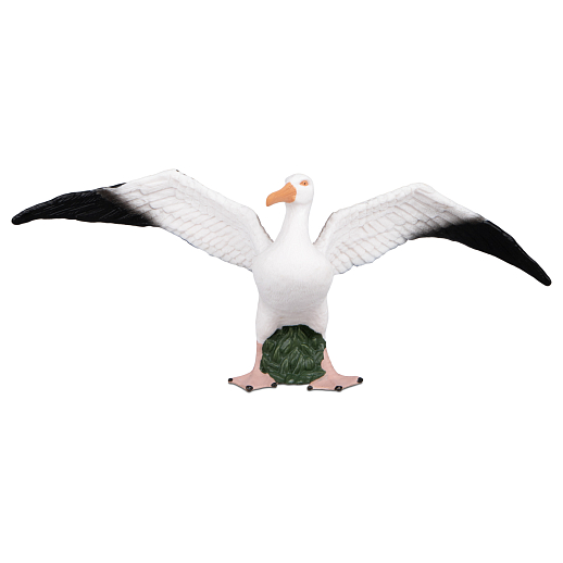 ТМ "DARWIN, Коллекционная фигурка "Альбатрос", в/п 18*6,2*6,7 см в Джамбо Тойз #2