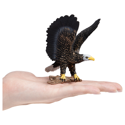 ТМ "DARWIN, Коллекционная фигурка "Белоголовый орлан" в/п в Джамбо Тойз #2