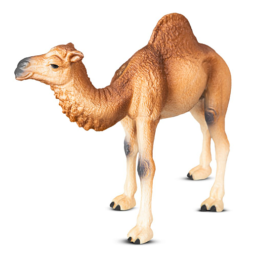 ТМ "DARWIN, Коллекционная фигурка "Одногорбый верблюд" в/п в Джамбо Тойз #2