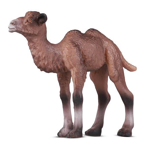 ТМ "DARWIN, Коллекционная фигурка  "Верблюд", в/п в Джамбо Тойз