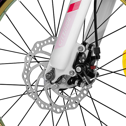 Велосипед CITYRIDE 20", модель CR-B2-12F2, рама сталь, обода двойные алюминий, амортизационная вилка, дисковые меха. Тормоза, цвет розовый в Джамбо Тойз #6