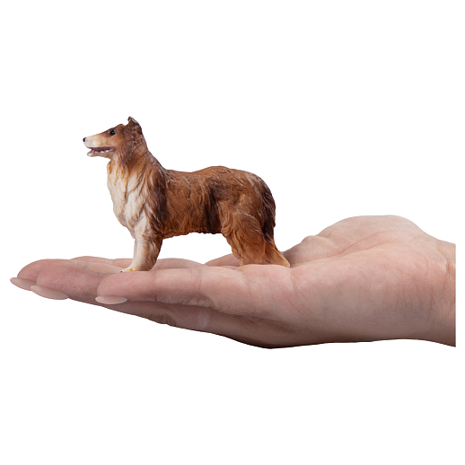 ТМ "DARWIN, Коллекционная фигурка собака "Колли" в/п в Джамбо Тойз #3