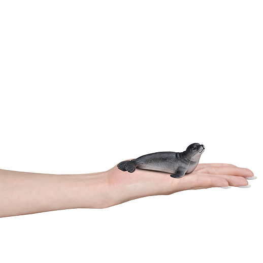 ТМ "DARWIN, Коллекционная фигурка  "Длинномордый тюлень" в/п в Джамбо Тойз #3