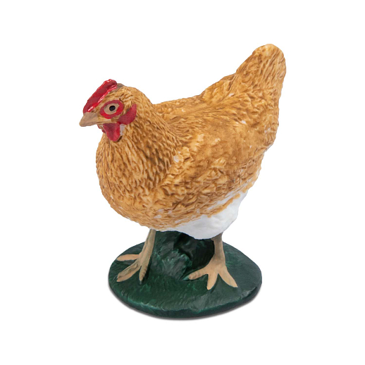 ТМ "DARWIN, Набор "Домашние птицы" 8 шт в/п в Джамбо Тойз #10