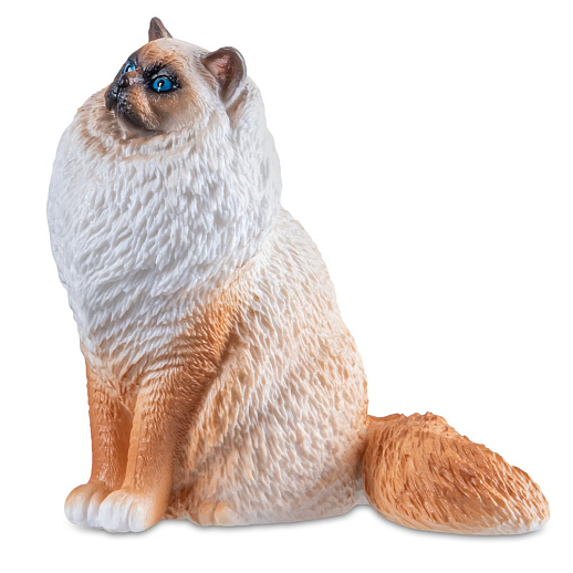 ТМ "DARWIN,  Коллекционная фигурка "Кошка Рэгдолл" персиковый в/п 8х6,8х8,5 см в Джамбо Тойз