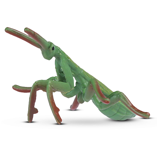 ТМ "DARWIN,  Коллекционная фигурка "Богомол" в/п 6,2х4,4х3 см в Джамбо Тойз
