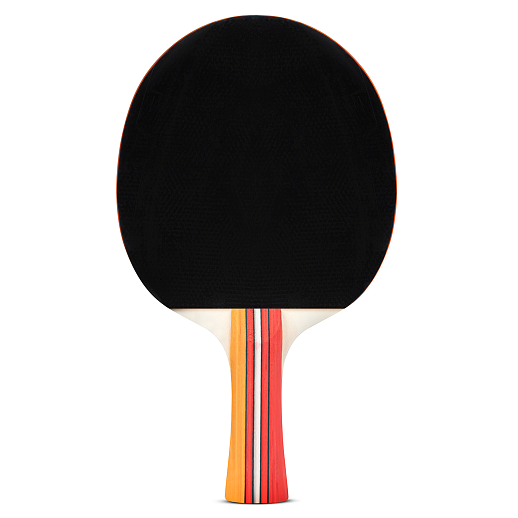 Набор для настольного тенниса, две ракетки + 3 шарика, в нейлоновой сумке в Джамбо Тойз #5