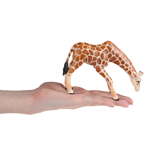 ТМ "DARWIN, Коллекционная фигурка  "Жираф", в/п 13,5*5,5*9 см в Джамбо Тойз #4