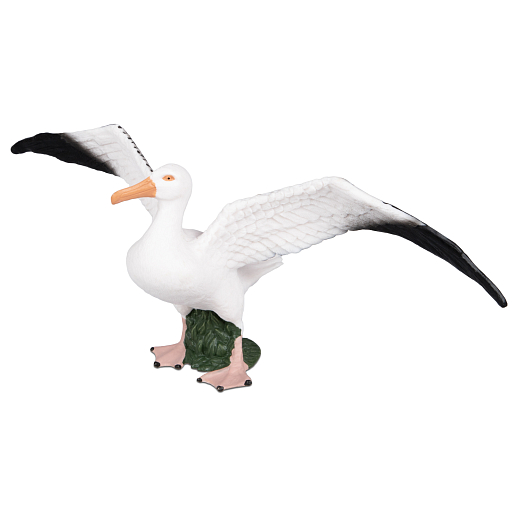 ТМ "DARWIN, Коллекционная фигурка "Альбатрос", в/п 18*6,2*6,7 см в Джамбо Тойз