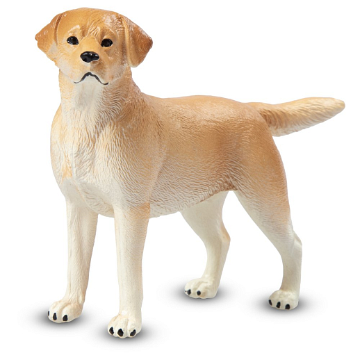 ТМ "DARWIN, Коллекционная фигурка собака "Лабрадор ретривер" в/п в Джамбо Тойз #2