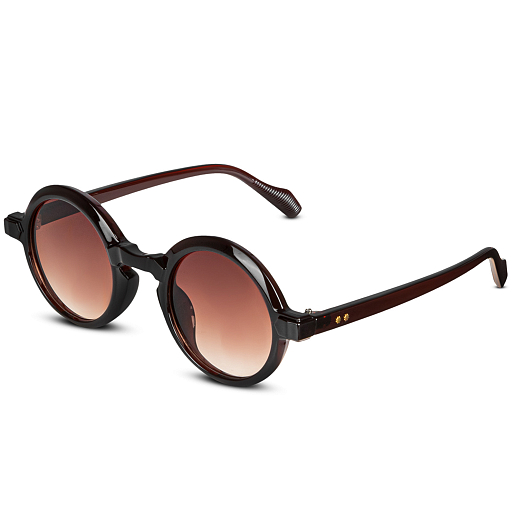 Очки солнцезащитные в футляре, в коричневом цвете в Джамбо Тойз