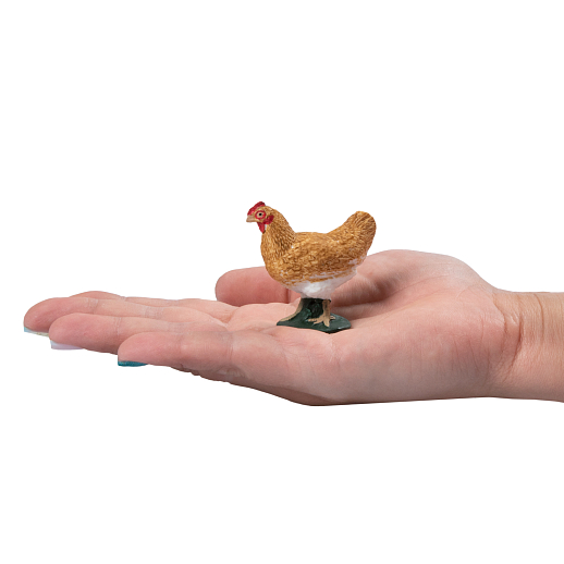 ТМ "DARWIN, Набор "Домашние птицы" 8 шт в/п в Джамбо Тойз #22