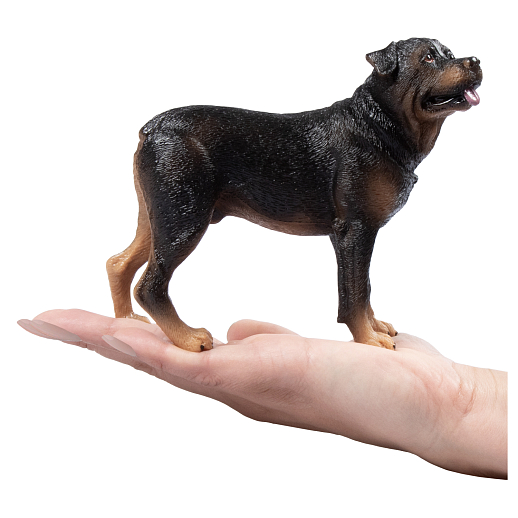 ТМ "DARWIN, Коллекционная фигурка собака "Ротвейлер" в/п в Джамбо Тойз #3