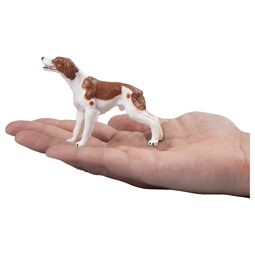 ТМ "DARWIN, Коллекционная фигурка собака "Бретонский эпаньоль" в/п в Джамбо Тойз #3