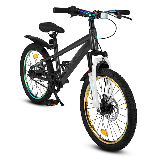 Велосипед CITYRIDE 20", модель CR-B2-12F2, рама сталь, обода двойные алюминий, амортизационная вилка, дисковые мех. тормоза цвет серый в Джамбо Тойз