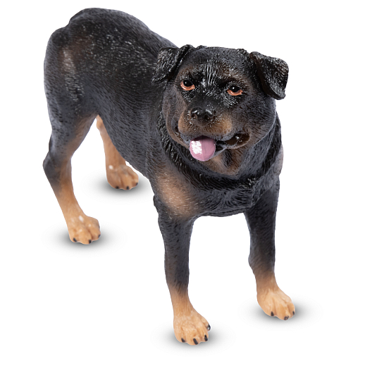 ТМ "DARWIN, Коллекционная фигурка собака "Ротвейлер" в/п в Джамбо Тойз