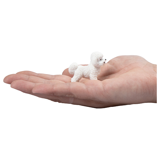 ТМ "DARWIN, Коллекционная фигурка собака "Бишон Фризе" в/п в Джамбо Тойз #3