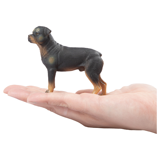 ТМ "DARWIN, Коллекционная фигурка собака "Ротвейлер" в/п в Джамбо Тойз #4