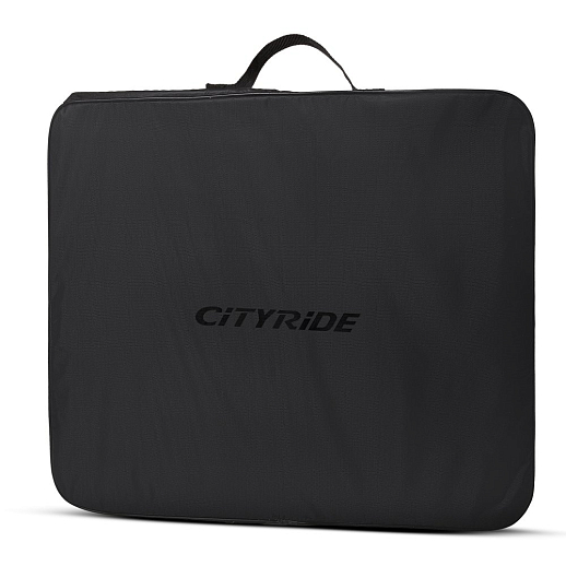 CITYRIDE Роликовые коньки, PU колеса, переднее колесо со светом, подшипники ABEC 7, в/к, белые светодиоды, специальная анодировка рамы "бензин" в Джамбо Тойз #3