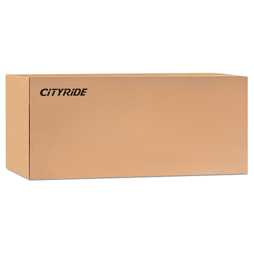 2хкол. самокат CITYRIDE , 100% сталь, ,колеса PVC со светом 120 мм в Джамбо Тойз #10
