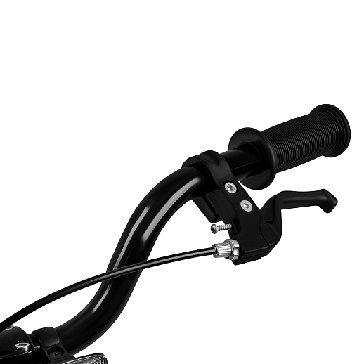 Велосипед двухколесный CITYRIDE, модель CR-B2-07J, колеса 20", рама сталь, обода сталь, цвет анодровка-чёрный в Джамбо Тойз #5