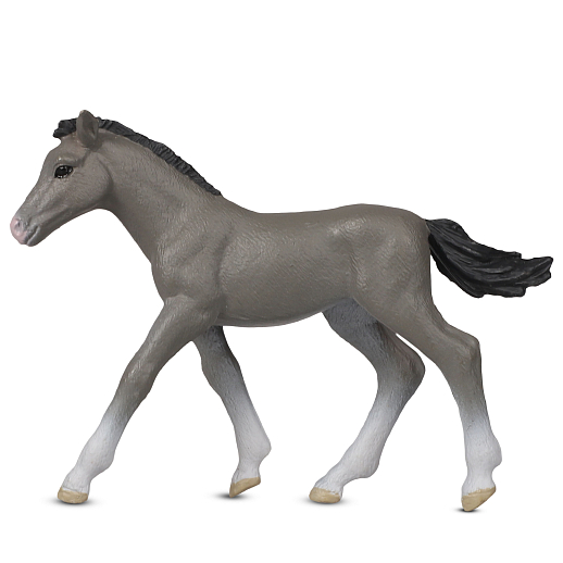 ТМ "DARWIN, Коллекционная фигурка "Жеребенок Серый" в/п, 10*2*7,2 см в Джамбо Тойз