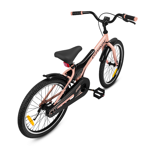 Детский велосипед "Cityride REVO", модель CR-B2-05, рама сталь, кожух цепи 100%, обода алюм. 20", втулки сталь, покрышки 2,125, подножка, руль сталь. вынос сталь, задние ножные тормоза, передний клещевой, крылья пластик, отражатели пер/зад и на спицах, цвет розовый в Джамбо Тойз #9
