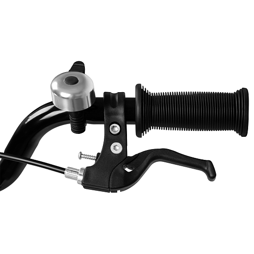 Велосипед двухколесный CITYRIDE, модель CR-B2-07J, колеса 20", рама сталь, обода сталь, цвет чёрный в Джамбо Тойз #7