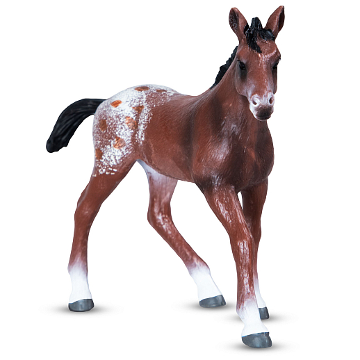 ТМ "DARWIN, Коллекционная фигурка "Лошадь Аппалуза" в/п в Джамбо Тойз