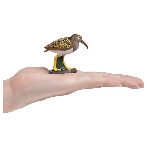 ТМ "DARWIN, Коллекционная фигурка "Южноамериканский бекас", в/п 5,5*2,6*4,8 см в Джамбо Тойз #3