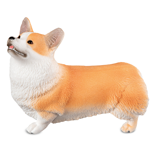 ТМ "DARWIN, Коллекционная фигурка собака "Корги Рыжий" в/п, 11*4,5*9 см в Джамбо Тойз